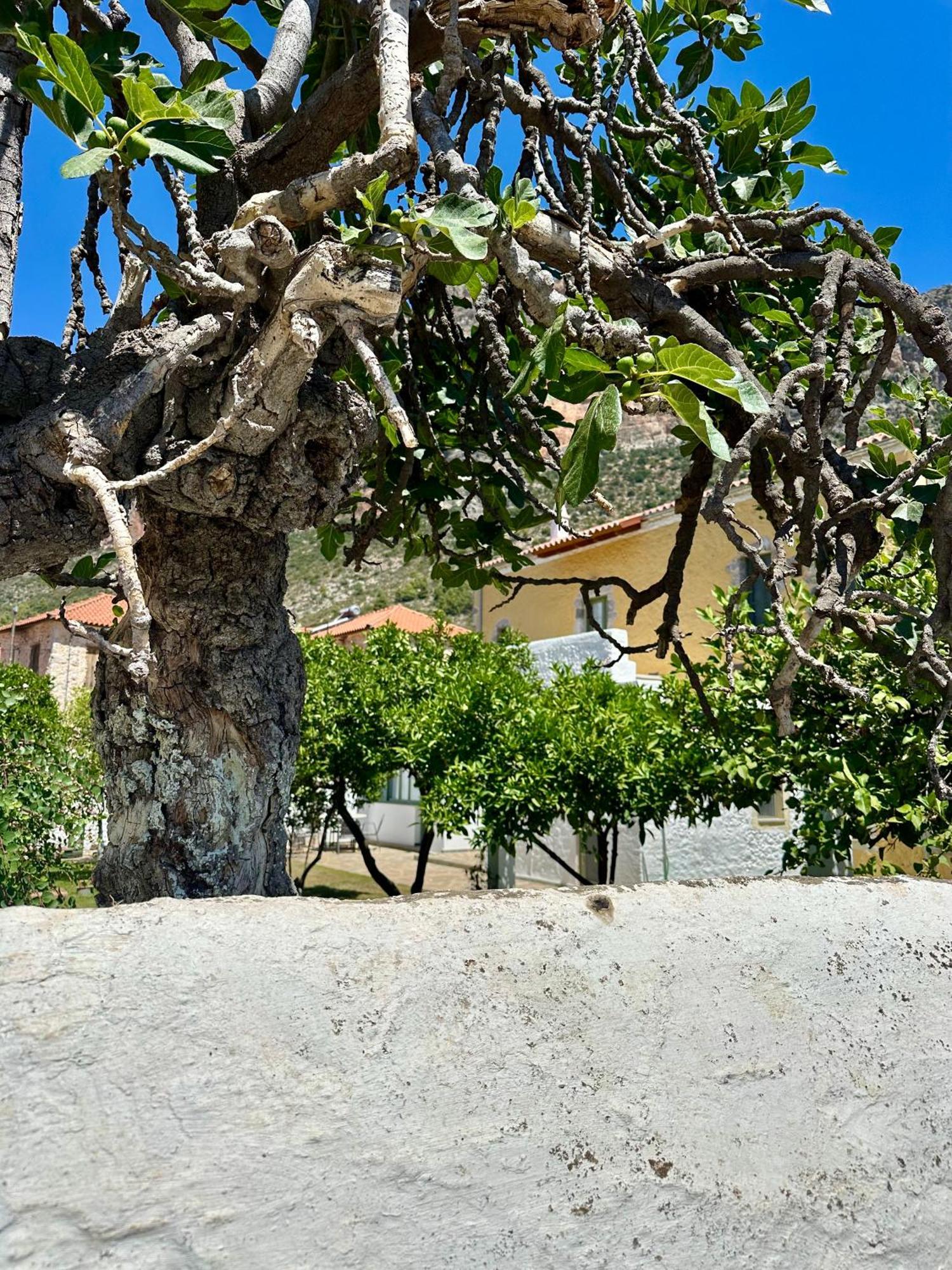 Alexander House 2 Villa Leonídion Dış mekan fotoğraf